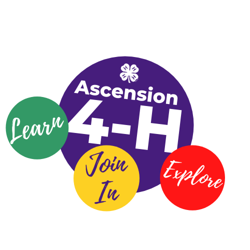 Ascension 4-H Clover Column- March 2021